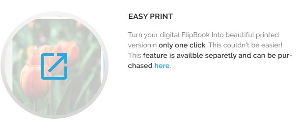 Responsive FlipBook Plugin - 7