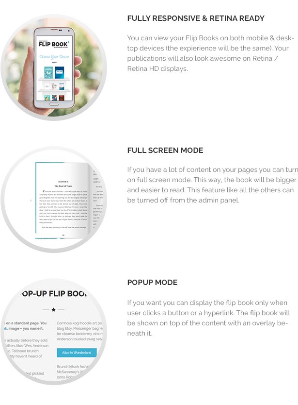 Responsive FlipBook Plugin - 9