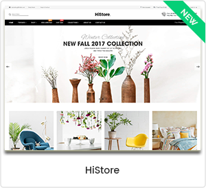HiStore - Multipurpose eCommerce & MarketPlace WordPress Theme 