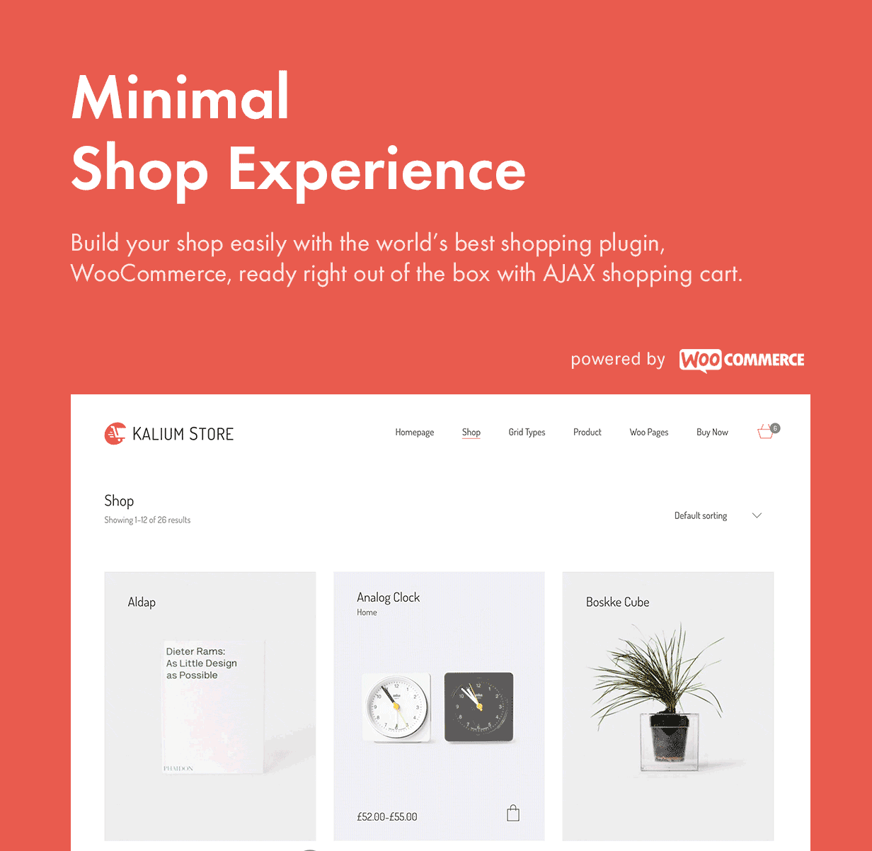 Minimal and Modern Shop (eCommerce) Experience