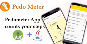PedoMeter - Android Source Code