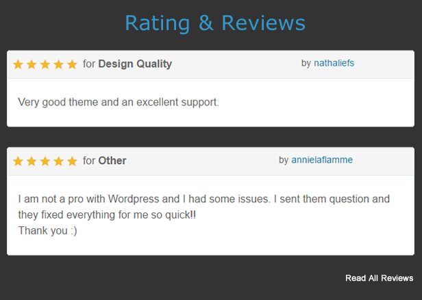 Premium WordPress Themes - Review