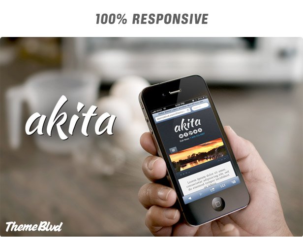 Akita Responsive WordPress Theme - 6