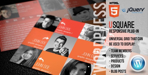 uSquare - Universal Responsive Wordpress Grid for Team Members, Logos, Portfolio, Products and More