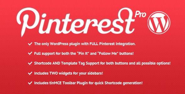 Photo of Get Pinterest Pro for WordPress Download