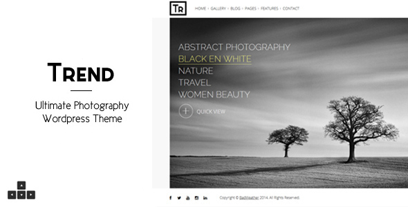 Trend - Photography WordPress Theme