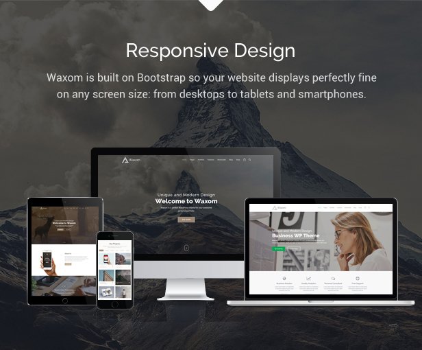 Waxom - Clean & Universal WordPress Theme - 2