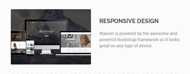 Waxom - Clean & Universal WordPress Theme - 9