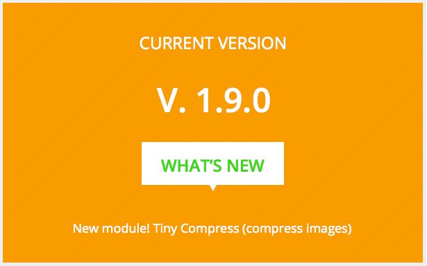 Premium SEO Pack – Wordpress Plugin - 10