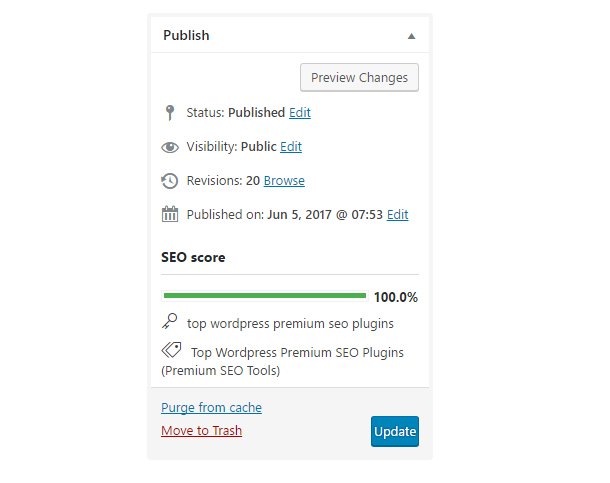 Premium SEO Pack – Wordpress Plugin - 6