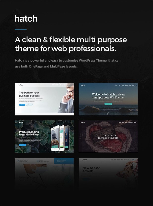 Hatch - MultiPurpose WordPress Theme - 1